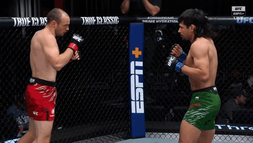 Two Men Are Fighting In A Cage And One Of Them Is Wearing Green Shorts That Say Ufc GIF