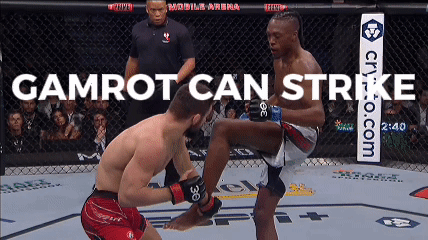 Two Men Are Fighting In A Cage With The Words Gamrot Can Strike Behind Them GIF