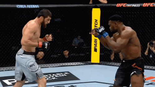 Two Men Are Fighting In A Cage With Ufc Fight Pass Written On The Side GIF