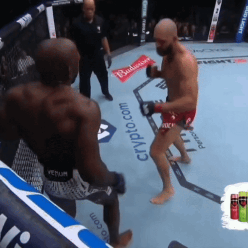 Two Men Are Fighting In A Ring With A Budweiser Ad GIF