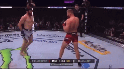 Two Men Are Fighting In A Ufc Ring And The Ufc Light Heavyweight Championship Is On The Screen GIF