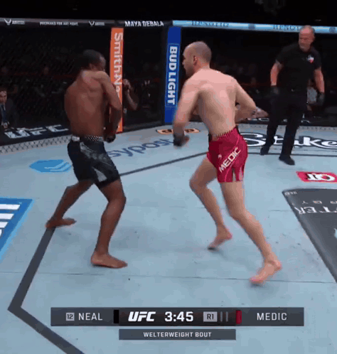 Two Men Are Fighting In A Ufc Ring With A Bud Light Banner On The Side GIF