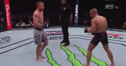 Two Men Are Fighting In A Ufc Ring With A Budweiser Advertisement In The Background GIF