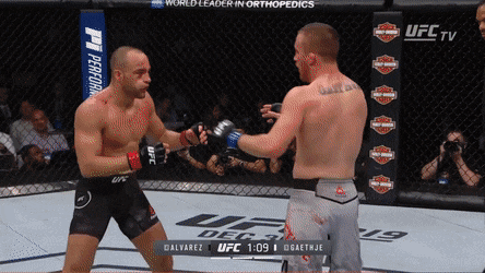 Two Men Are Fighting In A Ufc Ring With A Harley Davidson Sign In The Background GIF