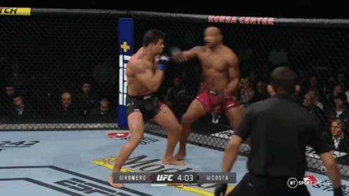 Two Men Are Fighting In A Ufc Ring With A Honda Center Sign In The Background GIF