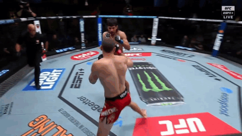 Two Men Are Fighting In A Ufc Ring With Ads For Bud Light And Monster Energy GIF