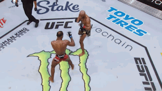 Two Men Are Fighting On A Ufc Ring Sponsored By Toyo Tires And Energy Drink GIF