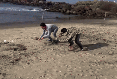 Two Men Are Playing In The Sand On A Beach With The Hashtag Viggle Ai GIF