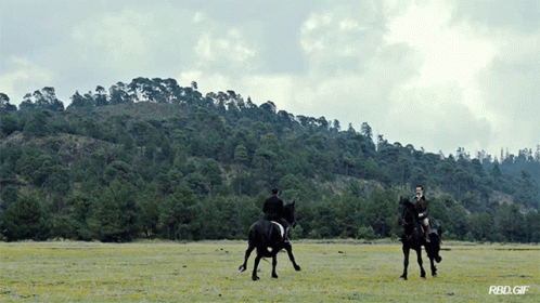 Two Men Are Riding Horses In A Field With A Rbo.gif Watermark GIF
