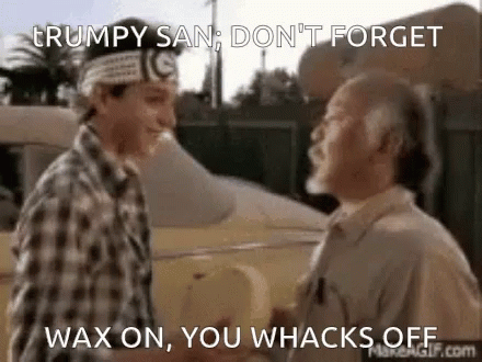 Two Men Are Standing Next To Each Other And One Of Them Says " Wax On You Whacks Off " GIF