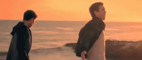 Two Men Are Walking On The Beach At Sunset With Their Backs To The Camera . GIF