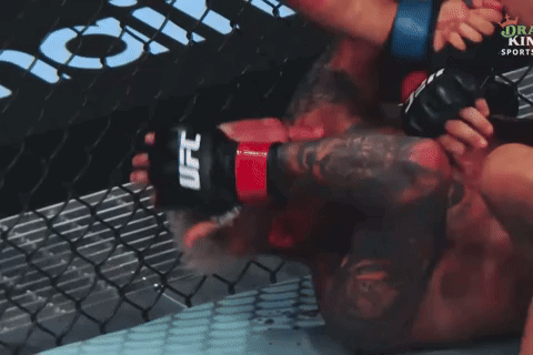 Two Men Are Wrestling In A Cage With A Ufc Logo On The Wall Behind Them GIF