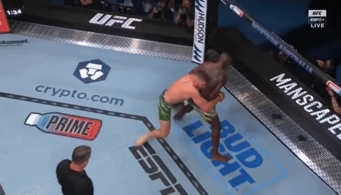 Two Men Are Wrestling In A Ufc Ring With Ads For Bud Light And Crypto.com GIF