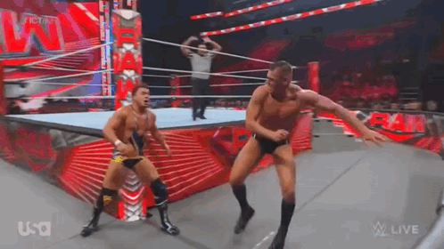 Two Men Are Wrestling In A Wrestling Ring With The Word Usa On The Bottom GIF