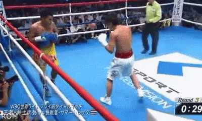Two Men Boxing In Ring GIF