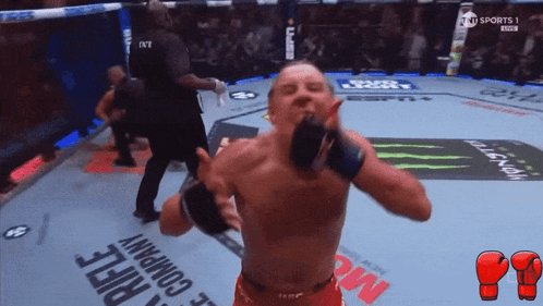 Two Men Boxing Pootards in Shambles