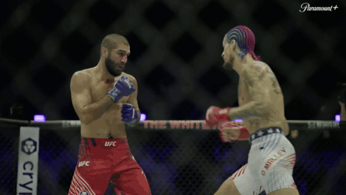Two Men Boxing UFC Sign