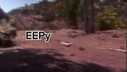 Two Men Boxing With Monster Energy Ad GIF