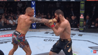 Two Men Boxing With UFC Shorts GIF