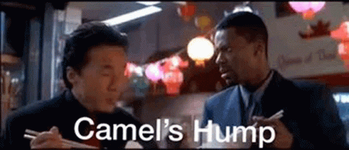 Two Men Eating With Chopsticks Restaurant Camel's Hump GIF