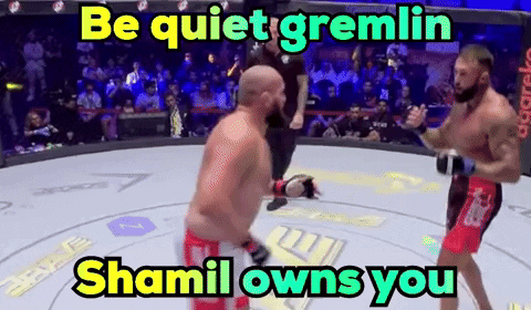 Two Men Fighting In A Ring Be Quiet Gremlin Shamil Owns You GIF