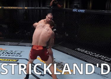 Two Men Fighting in Boxing Ring