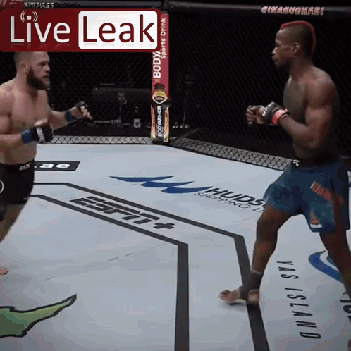 Two Men Fighting in Boxing Ring Live Leak