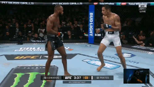 Two Men Fighting In Boxing Ring GIF