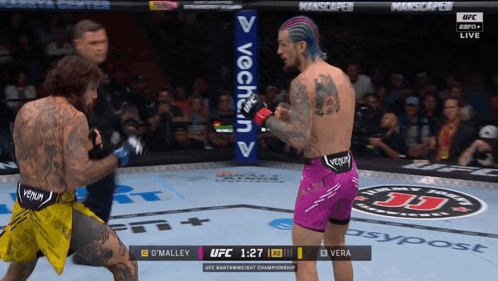 Two Men Fighting in Boxing Ring, Purple Venom Shorts
