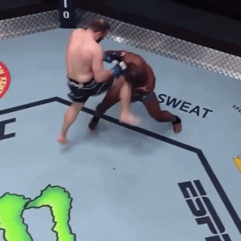 Two Men Fighting In Boxing Ring Saying Sweat GIF