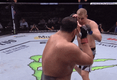 Two Men Fighting In Boxing Ring GIF