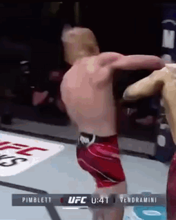 Two Men Fighting in Boxing Ring UFC Match