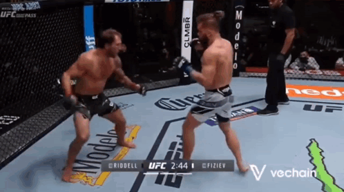 Two Men Fighting in Boxing Ring UFC