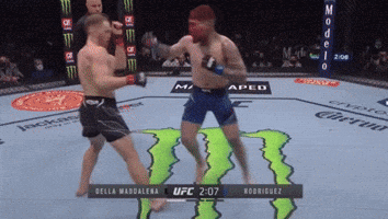Two Men Fighting In Boxing Ring GIF