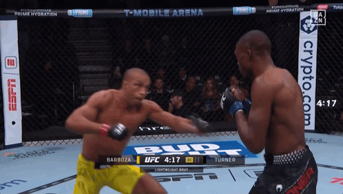 Two Men Fighting In Boxing Ring With Bud Ad GIF