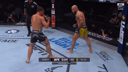 Two Men Fighting in Boxing Ring With Bud Light Ads