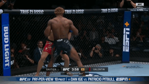 Two Men Fighting In Boxing Ring With Bud Light Banner GIF