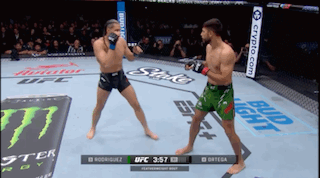 Two Men Fighting in Boxing Ring With Bud Light Sign
