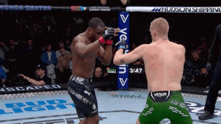 Two Men Fighting In Boxing Ring With Bud Light Sign GIF