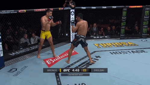 Two Men Fighting In Boxing Ring With Budweiser Banner GIF