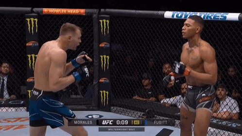 Two Men Fighting In Boxing Ring With Howler Head Ad GIF