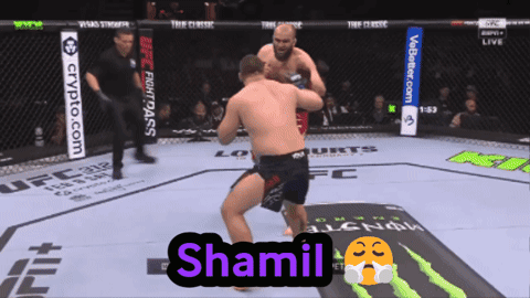 Two Men Fighting In Boxing Ring With Shamil GIF