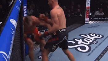 Two Men Fighting In Boxing Ring With Stake Logo GIF