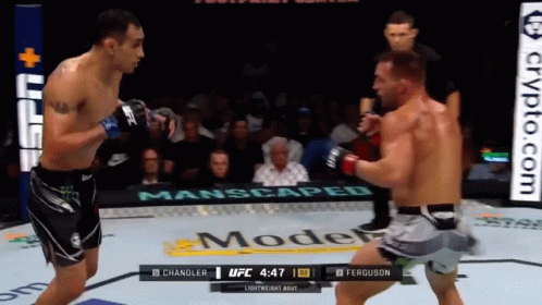 Two Men Fighting in Boxing Ring With UFC Logo