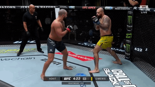 Two Men Fighting In Boxing Ring With UFC Logo GIF