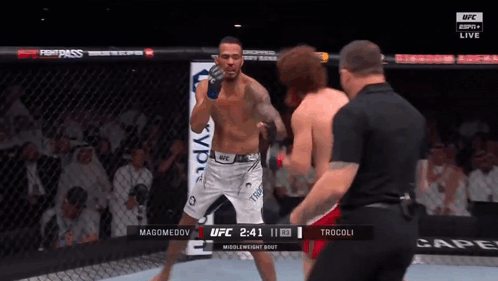 Two Men Fighting in Boxing Ring with UFC Logo