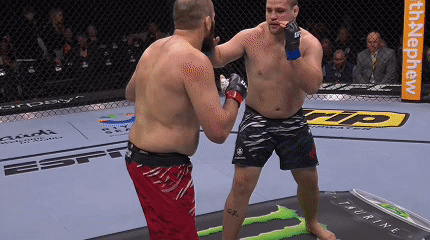 Two Men Fighting In Cage With Monster Energy Ad GIF