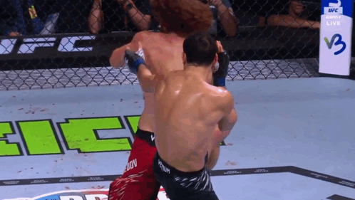 Two Men Fighting in Cage with Sign Saying V3