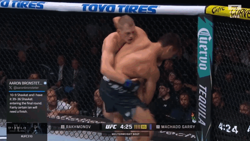 Two Men Fighting In Cage With Toyo Tires GIF