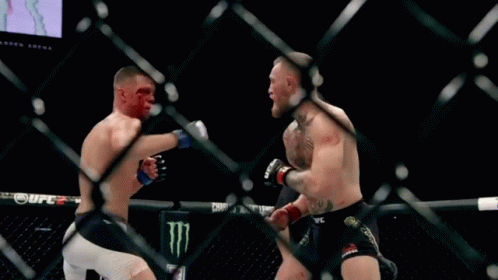 Two Men Fighting in Cage
